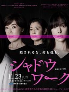 影子工作