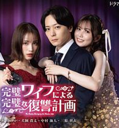 完美妻子的完美复仇计划