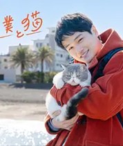 旅行和我和猫